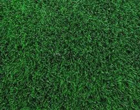 50 מטר רבוע דשא סינטטי 10 מ"מ : image 1