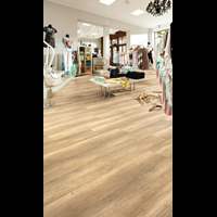 פרקט MEISTER גרמניה אלון מטבעי אפרפר מוברש