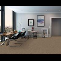 שטיח מקיר לקיר לולאות חום (רוחב גליל 3.66 מטר)