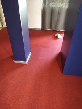 שטיח מקיר לקיר לולאות בורדו (רוחב גליל 3.66 מטר)  : image 2