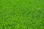 דשא סינטטי 40 מ"מ (רוחב גליל 4 מטר) : Thumb 3